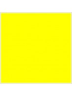 L 56 x H 48 x 25.4 JAUNE - etiquette thermique - pantone